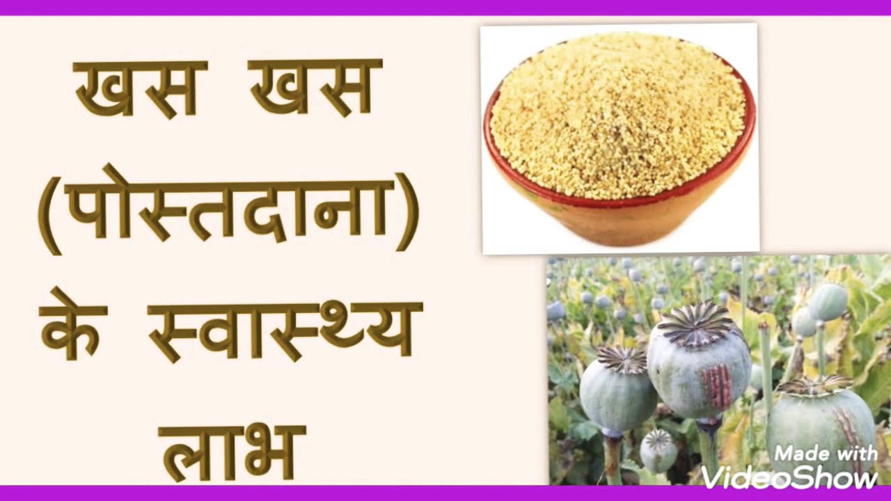 खसखस खाने के लाभ और नुकसान हिंदी मेंBenefits and side effects of