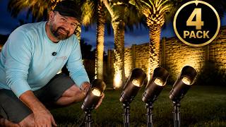 TORCHSTAR Low Voltage Landscape Lights | Palm Tree Lighting Upgrade