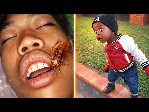 TRY NOT TO LAUGH 😆 Best Funny Video Compilation 2026 😂🤣 Memes (Ep11)