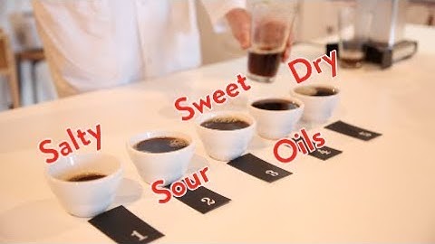 Extraction of Coffee Flavours | Dr Monika Fekete