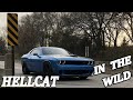 Hellcat In The WILD DRIVEBYS &amp; FLYBYS 2016 Dodge Challenger SRT HELLCAT