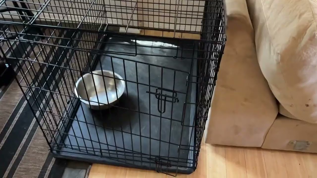 BestPet 42 Inch Dog Crates for Large Dogs Folding Metal Wire Crates Dog Kennels Outdoor and Indoor P