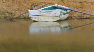 Elveda - Özgün (Cover) - Erdem Köylüoğlu