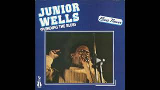 Junior Wells,Just for my baby