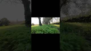 flowers: AVATA 2 Freestyle