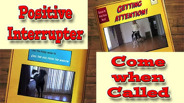 Come when called: Dog Training - Positive Interrupter