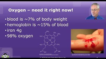 HCGTV: Webinar - Pathophysiology and Coding Bleeding Conditions and Disorders