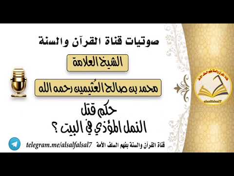 حكم قتل النمل المؤذي في البيت ؟ الشيخ العلامة محمد بن صالح العثيمين رحمه الله .