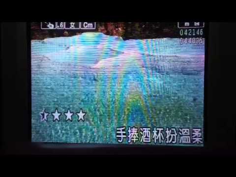 風麈女：蔡麗倩，演唱。卡拉ok歡唱版