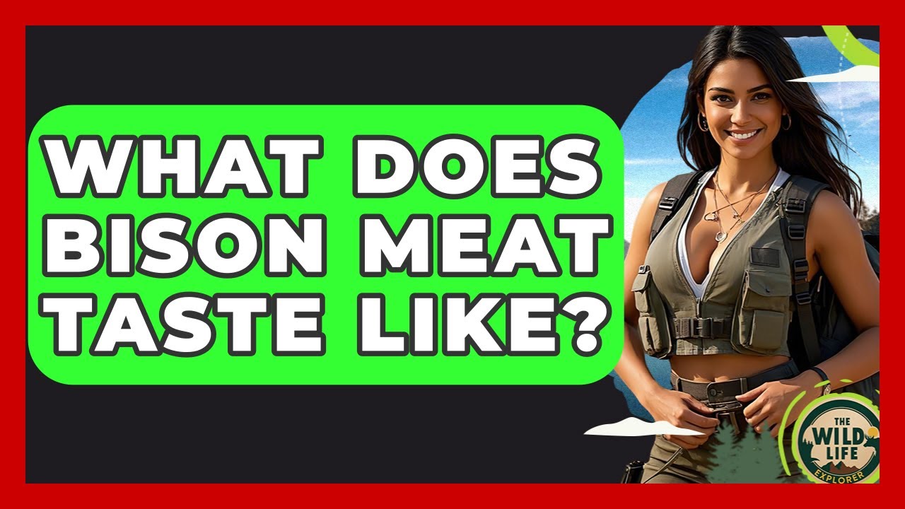 What Does Bison Meat Taste Like? - The Wild Life Explorer