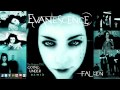 Evanescence - Going Under (The Enigma TNG Remix)