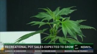 Oregon: Retail Cannabis Sales Bring In Millions In Tax Revenue - KGW