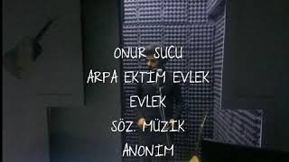 Onur Sucu - Arpa Ektim Evlek Evlek Resimi