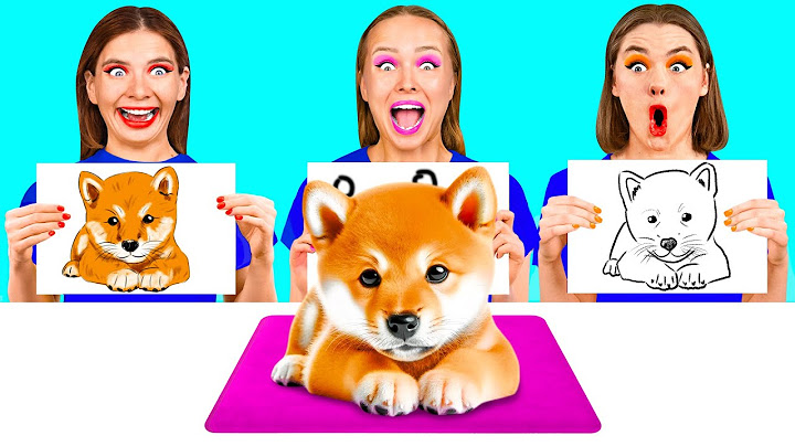 Who Draws it Better Take The Prize | Funny Moments by BaRaDa Best