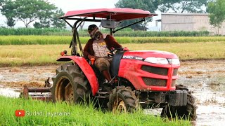 TRAKTOR SAWAH BESAR YANMAR EF393T MEMBAJAK PERSAWAHAN JETIS PONOROGO