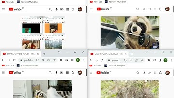 up to faster 10 to shark puppet