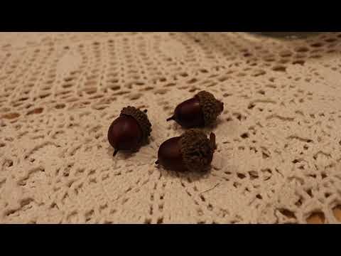 [Tiny Nuts] 「小さな木の実」作詞：海野洋司、作曲：ビゼー、編曲：石川あきら