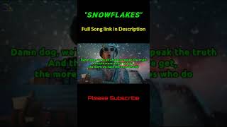 Tom Macdonald  Snowflakes s Song   Tom Macdonald Fanclub    Tom Macdonald S 