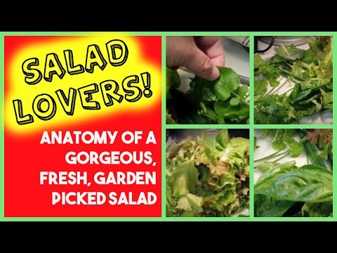 salad-lovers!-anatomy-of-a-gorgeous,-fresh,-garden-picked-salad---growing-salad-greens
