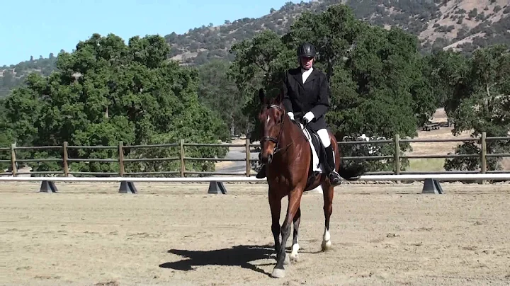 Janice Clements riding Allregro