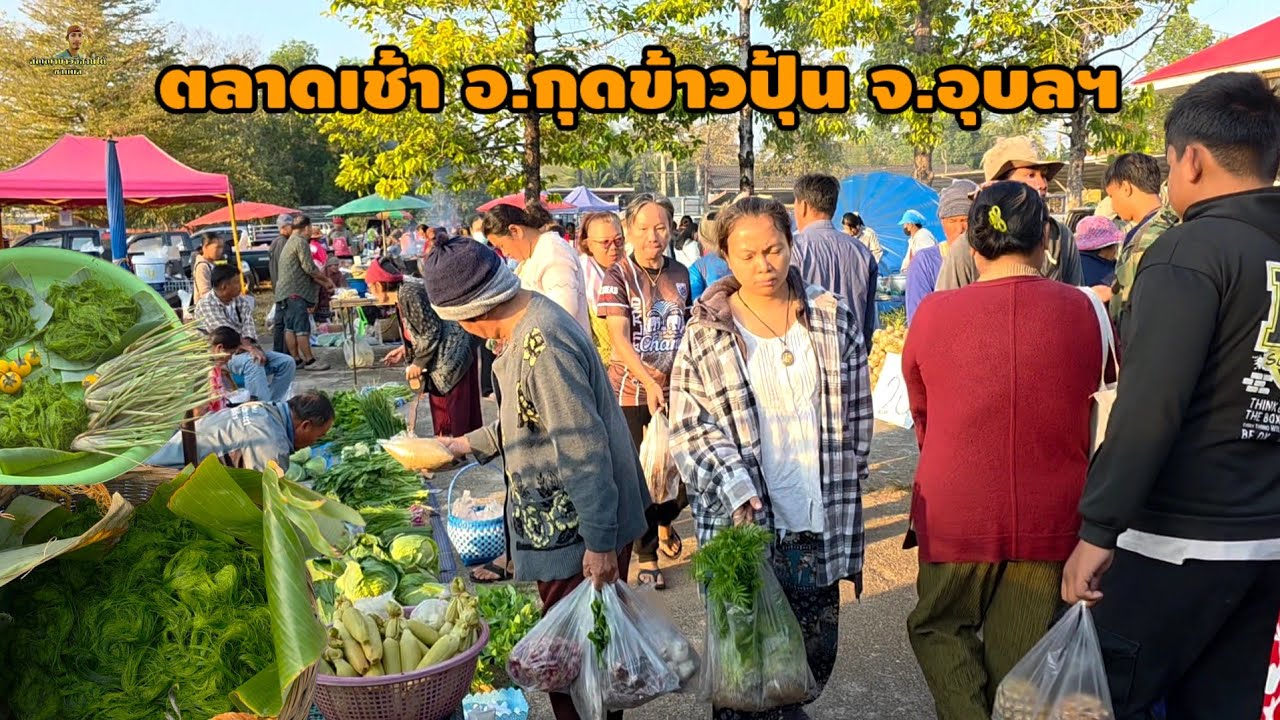 ตลาดอาหารตามฤดูกาล ตลาดเช้า อ.กุดข้าวปุ้น จ.อุบลฯ#ของป่า #อาหารตามฤดูกาล #food 