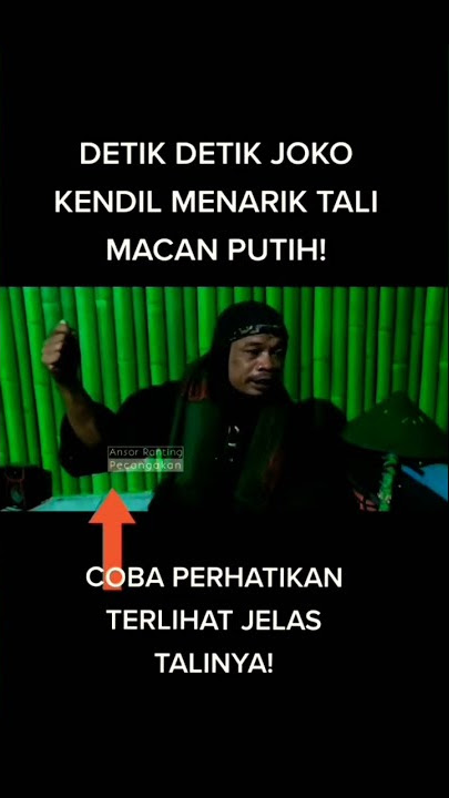 derik detik Joko kendil menarik tali macan putih #jokokendil #shorts