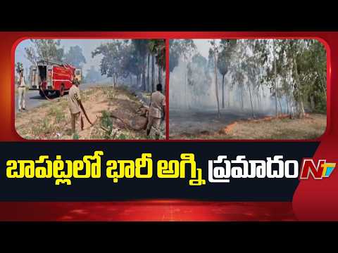 Massive Forest Fire Erupts Near Suryalanka Road in Bapatla | 15 Acres Affected | NTV Telugu - NTVTELUGU