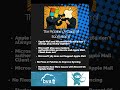 Apple Mail & Office365 Sync Saga