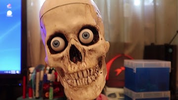 The Idiot Pitch- Animatronic Sound and Motion Pt 1