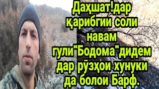 Срочна Дусто тамошо  кнен дар ҳақиқат бовар накарданист!!