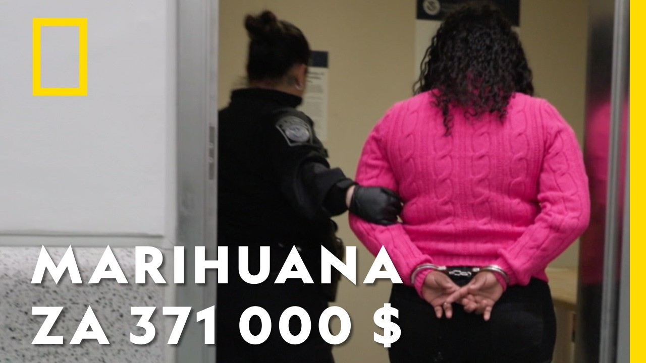 Pasażerka nie znała szyfru do swoich walizek, wypełnionych narkotykami! | Złapać przemytnika