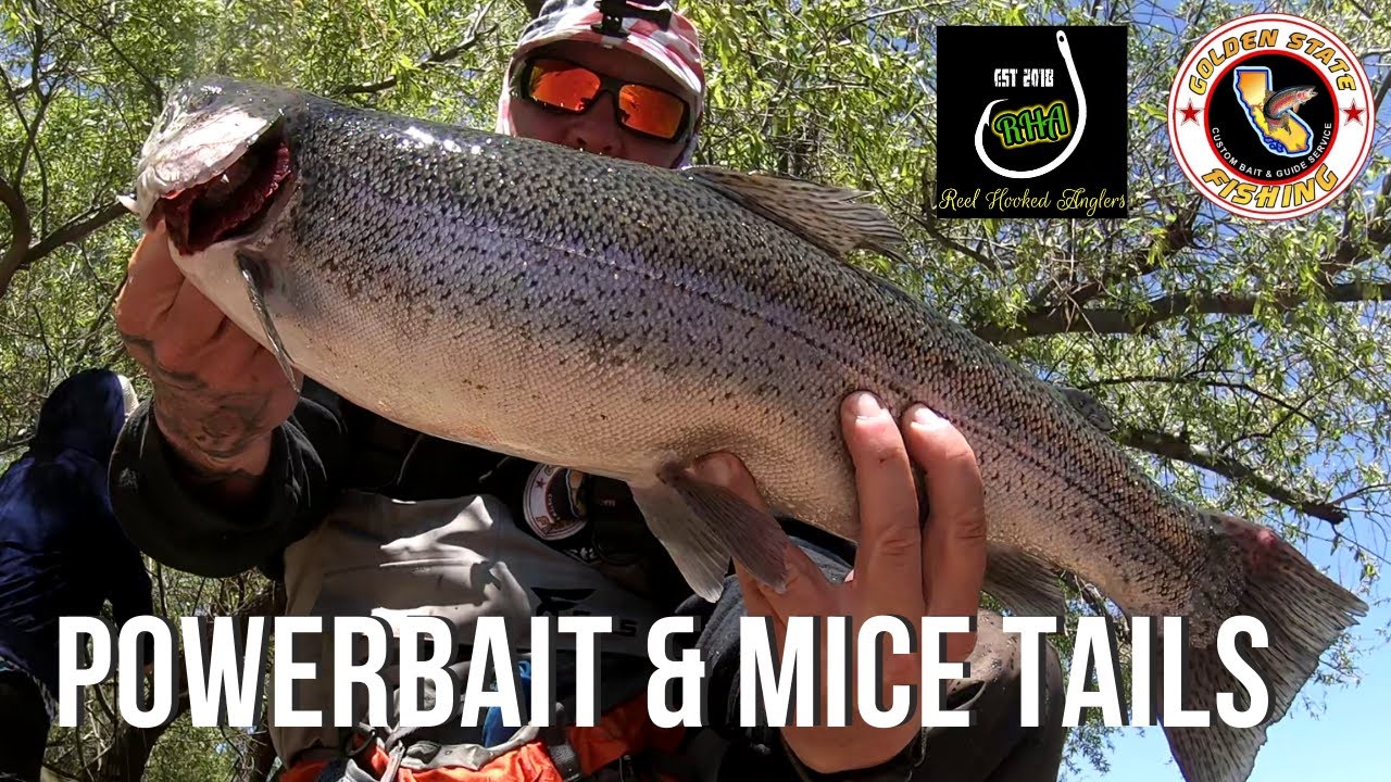 Red Hot Trout Fishing (Tips for using Power Bait and Mice Tails