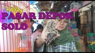 KELILING PASAR DEPOK SOLO PART 2 KETEMU HEWAN INI(SUGAR GLIDER)❗❗❗