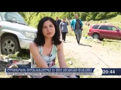 ლომისობის დღესასწაულზე 20-მდე ადამიანი დაშავდა