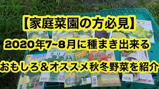 【家庭菜園の方必見】2020年7~8月に種まき出来る、おもしろ＆オススメ秋冬野菜を紹介します 2020/7/21