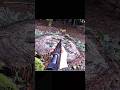 Deer Taken Down at 3 Feet | Insane Close Range Shot #DeerHunting #HuntingLife #PerfectShot #Wildlife