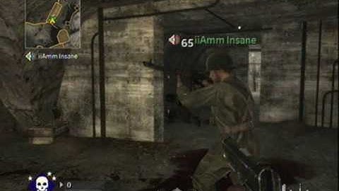 CallOfDuty WAW Modded Controller {iiAmm Insane}