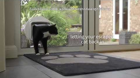 The SureFlap Dualscan Microchip Cat Flap