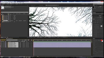 Howto create video from Panorama with After Effects and Cubemap