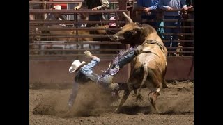 When Life Becomes A Bull Ride   Bill Yount