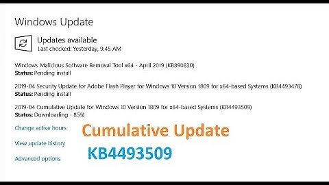 Cumulative Update for Windows 10 Version 1809 for x64 based Systems KB4493509