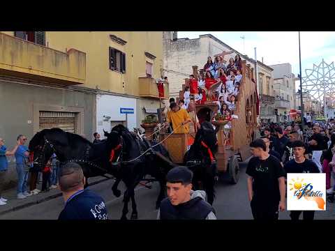 Video Carro di Sant'Elena 2026