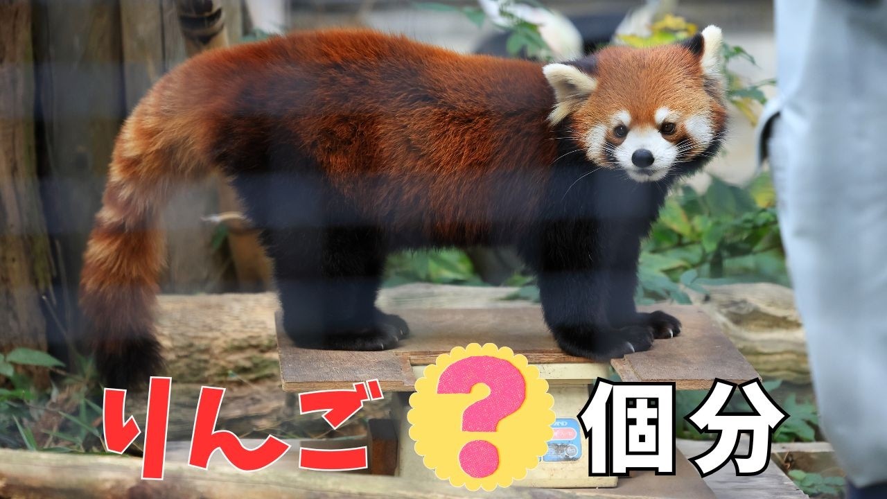 Измерение веса