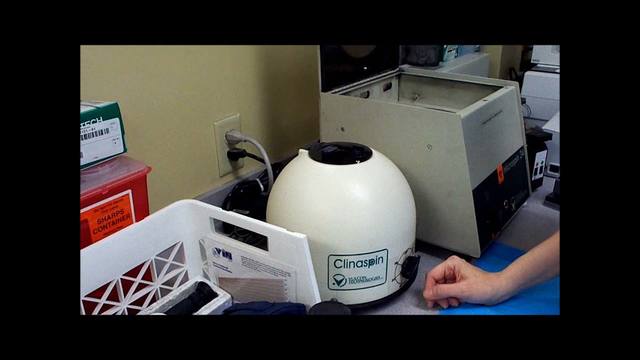 Buffy Coat Smear Prep YouTube