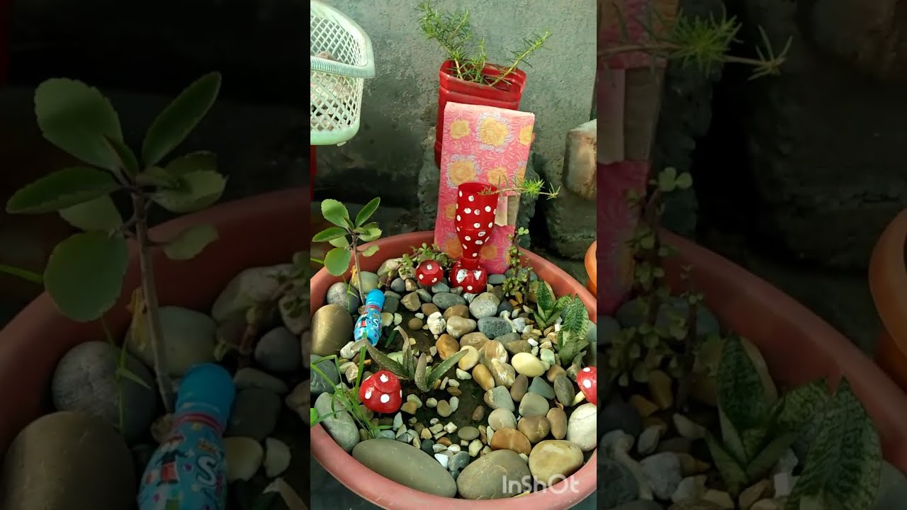 My Garden Beautiful Blooms