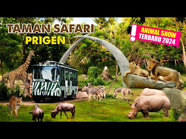 Animal Show & Circus Terbaru 2024 TAMAN SAFARI PRIGEN Explore Terlengkap Pasuruan Jawa Timur class=