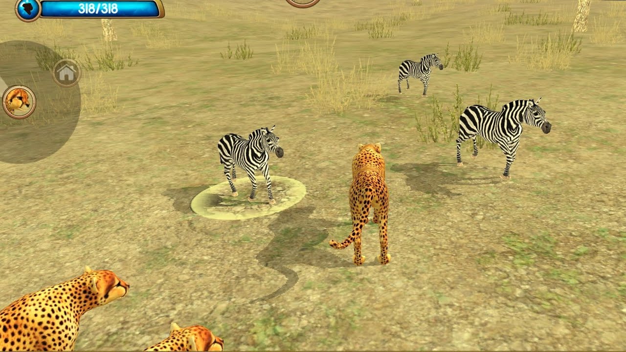 Wild animals games for kids || cheetah & cheetah family 🐆|| 