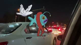 Midnight 24 - VISH (Music Video)