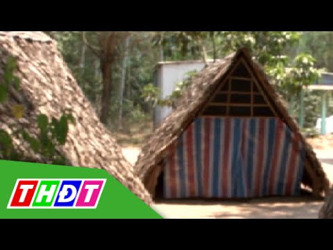 Video Bóng tối sau café tum | THDT - youtube