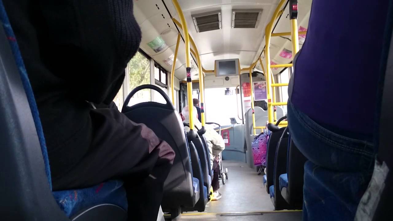 Yorkshire tiger 770 tempo on 781(3)